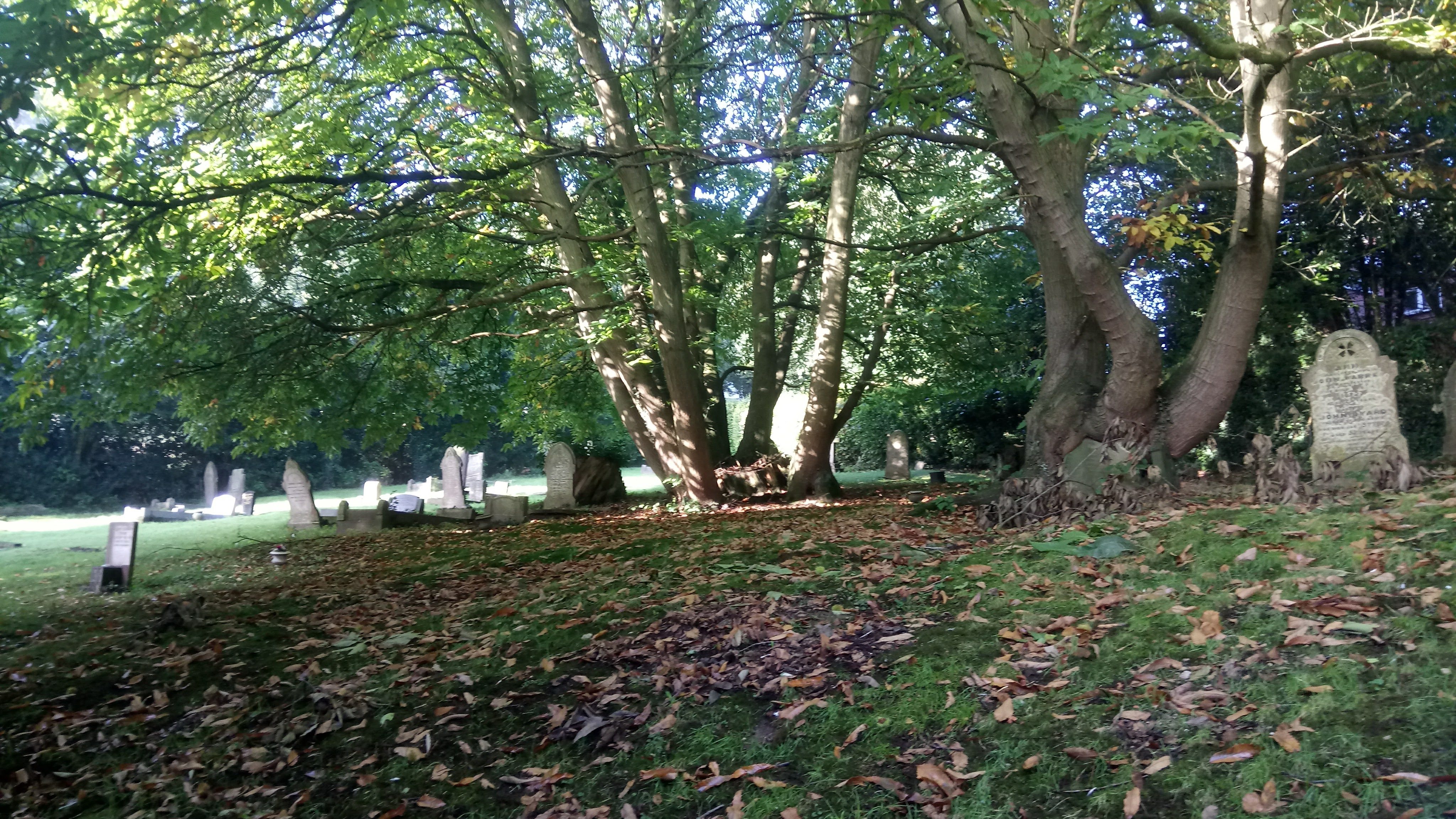 St Michael's at Michaelmas